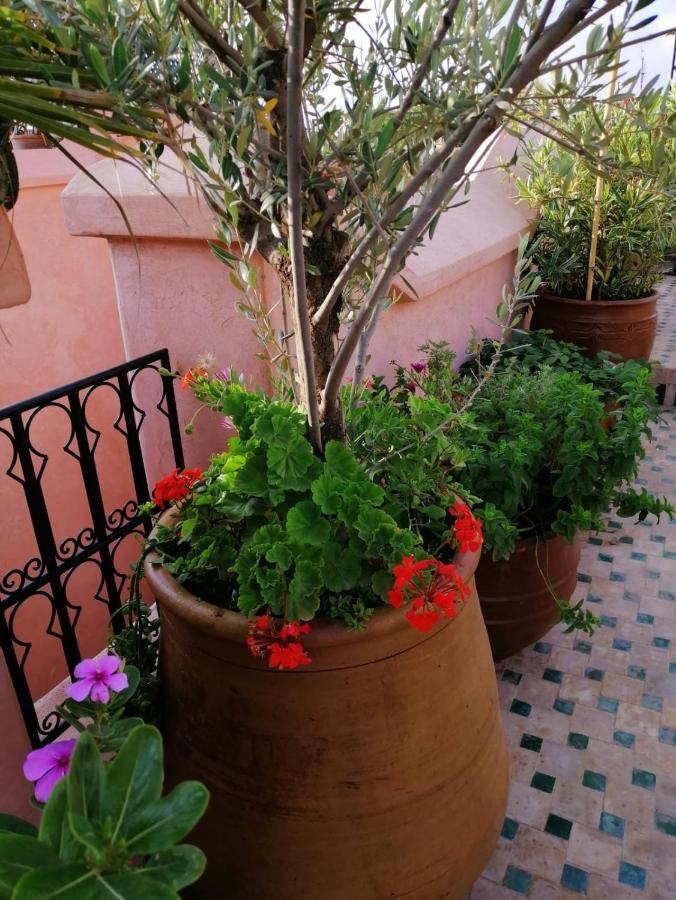 Riad Aventurine Marrakesh Eksteriør bilde
